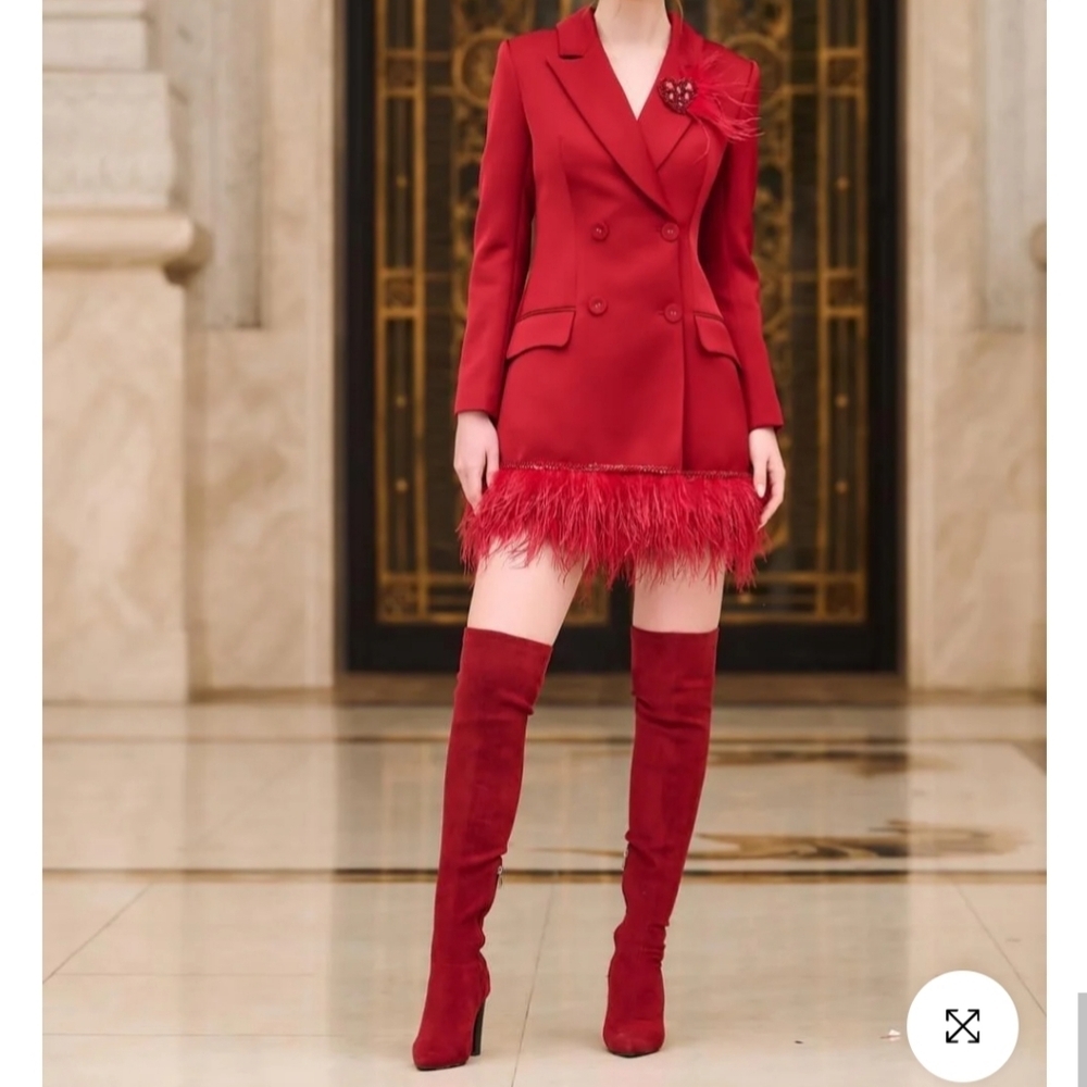 NWT 21SIX Red Rosa Taffeta Feather Blazer Dress Size XL - Picture 9 of 10